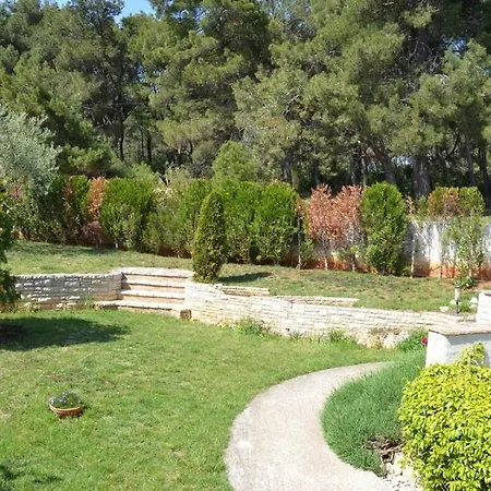 Ice * Pula
